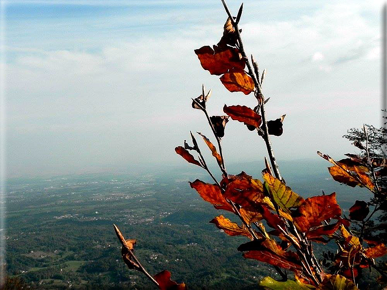 foto Colma di Mombarone